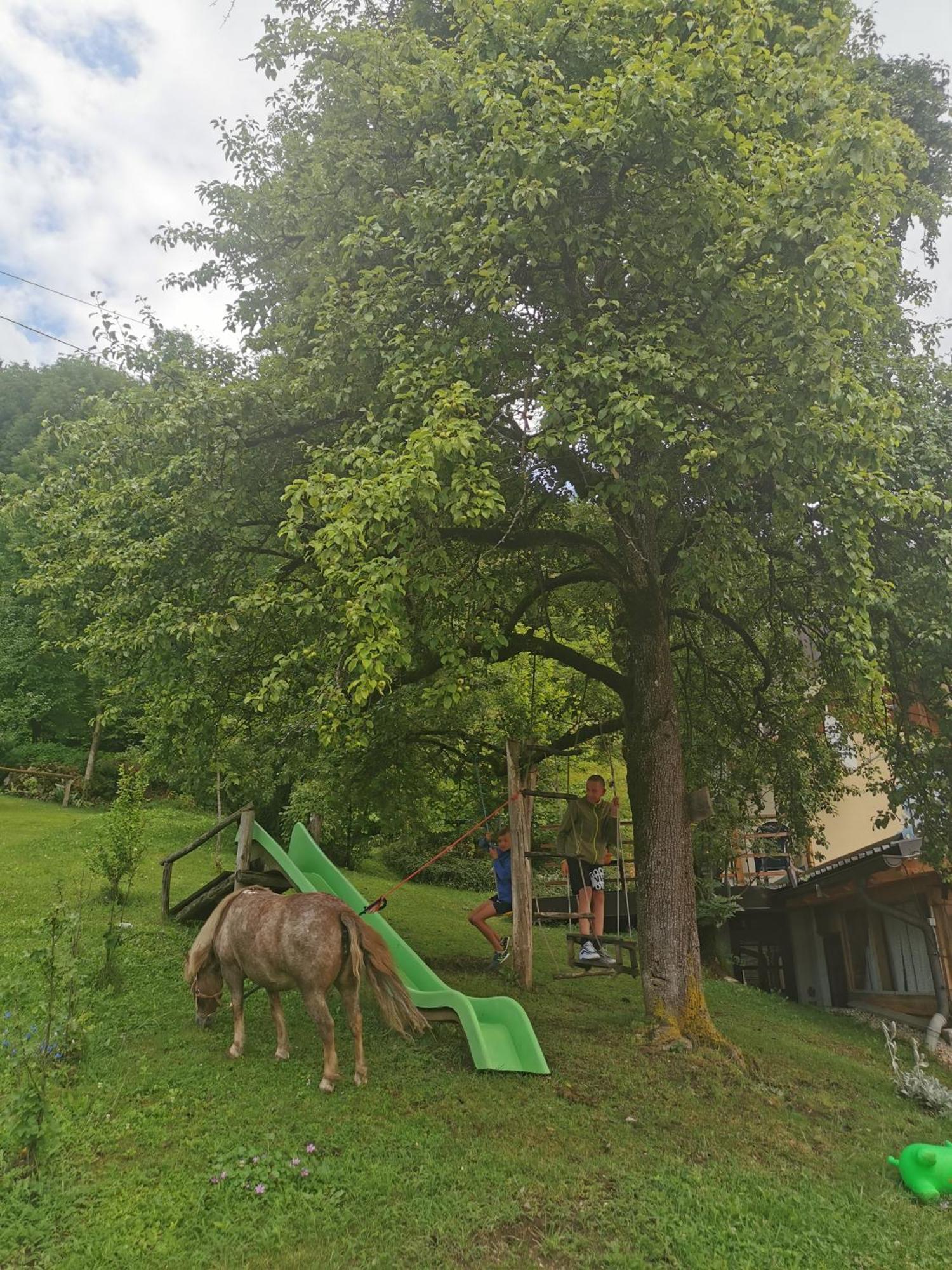 Slovenian Traditional Guest House Begunje na Gorenjskem Extérieur photo